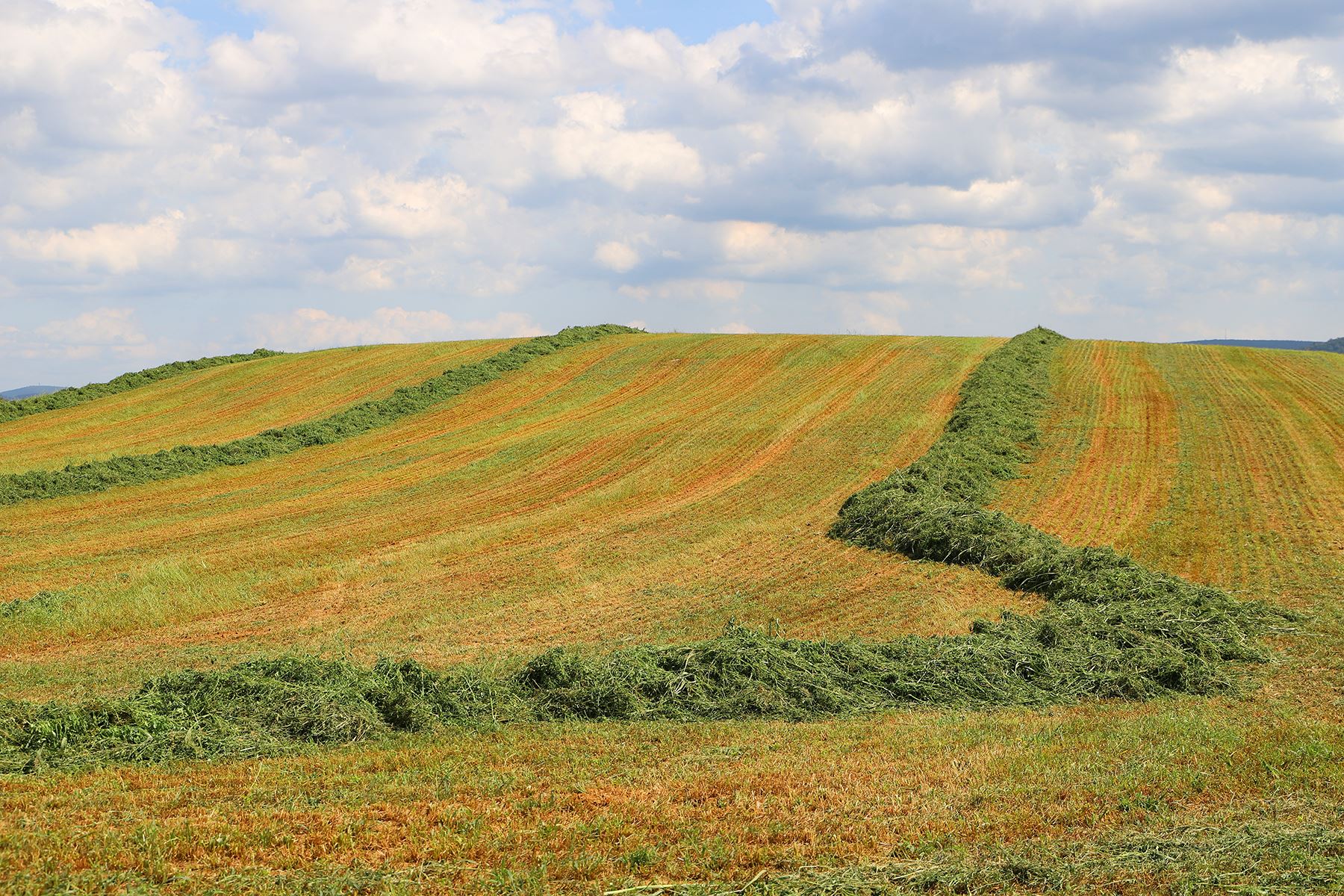 Farming remains a vital part of Cumberland County
