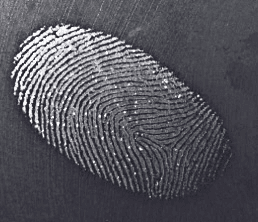 Lumicyano Fingerprint Development