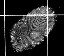 Lumicyano Fingerprint Development 2
