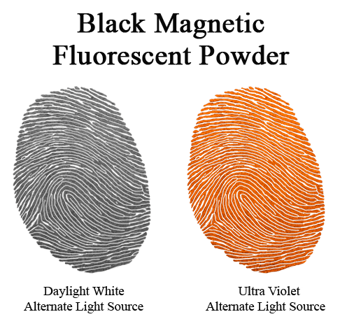 Latent Print Developed with Fluorescent Magnetic Black Powder Viewed with Alternate Light Sources