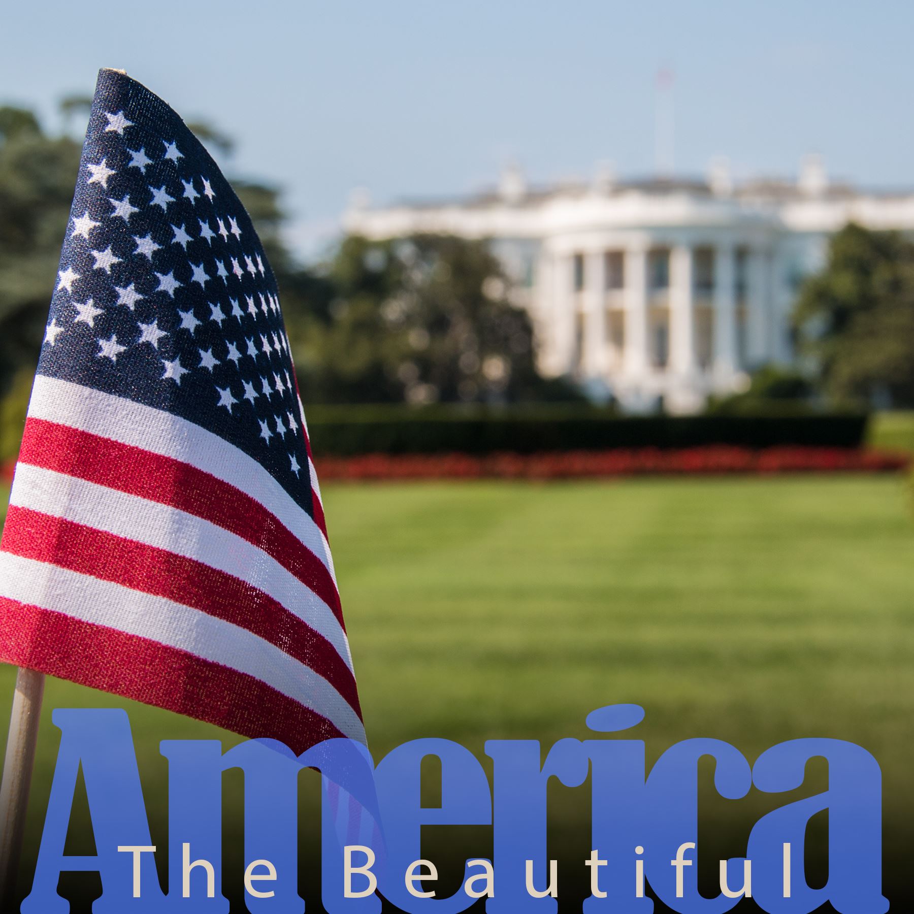 Picture of US flag with Whitehouse in background  